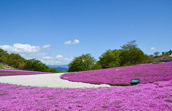 茶臼山高原 イメージ